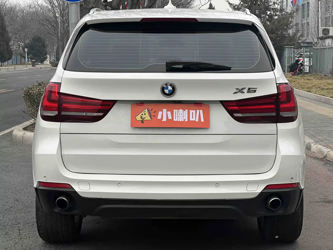 BMW X5 (Import) 2014 xDrive35i Elegance фото 5