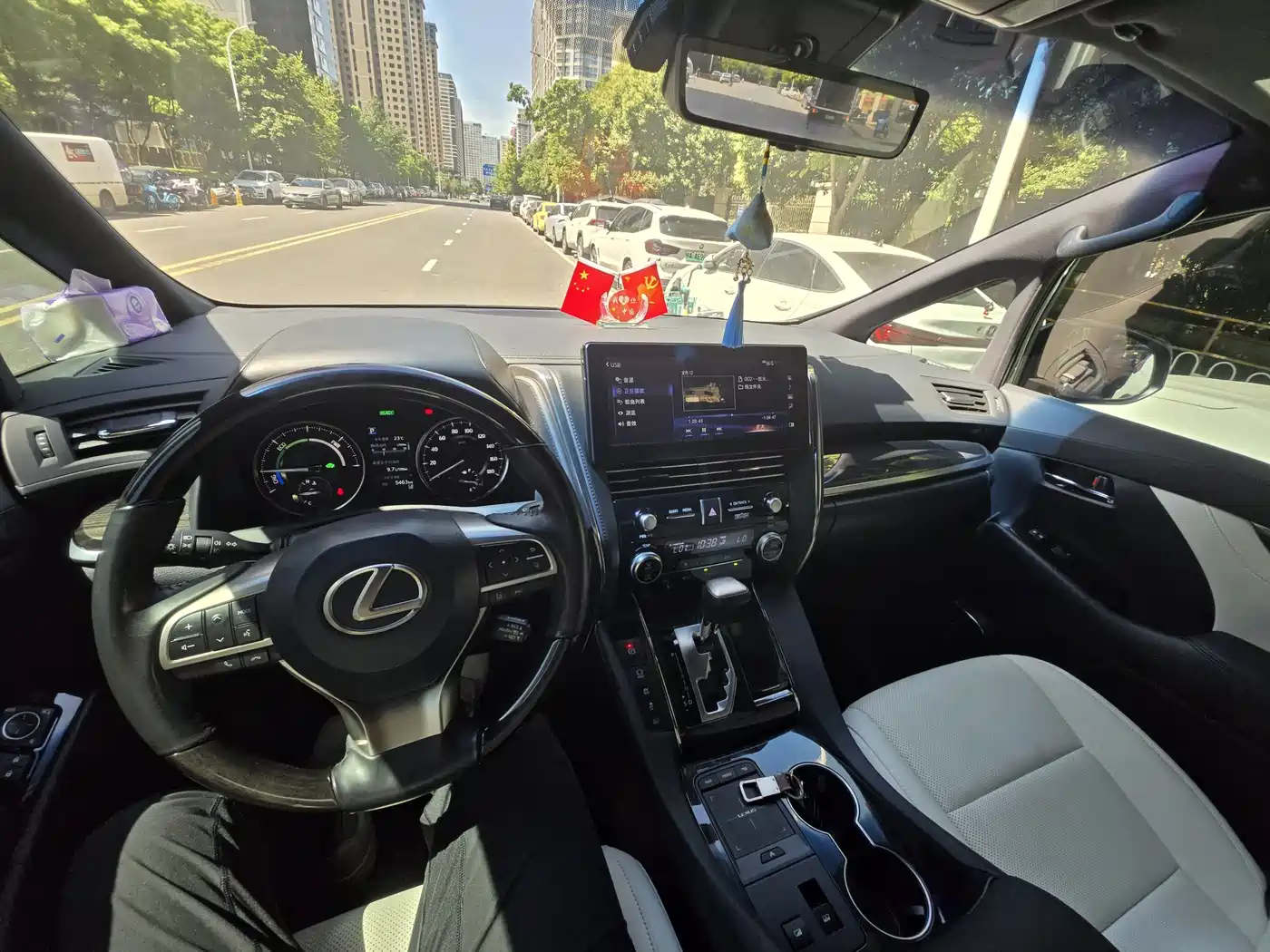 Lexus LM 2020 300h 4-Seat Imperial Edition фото 8