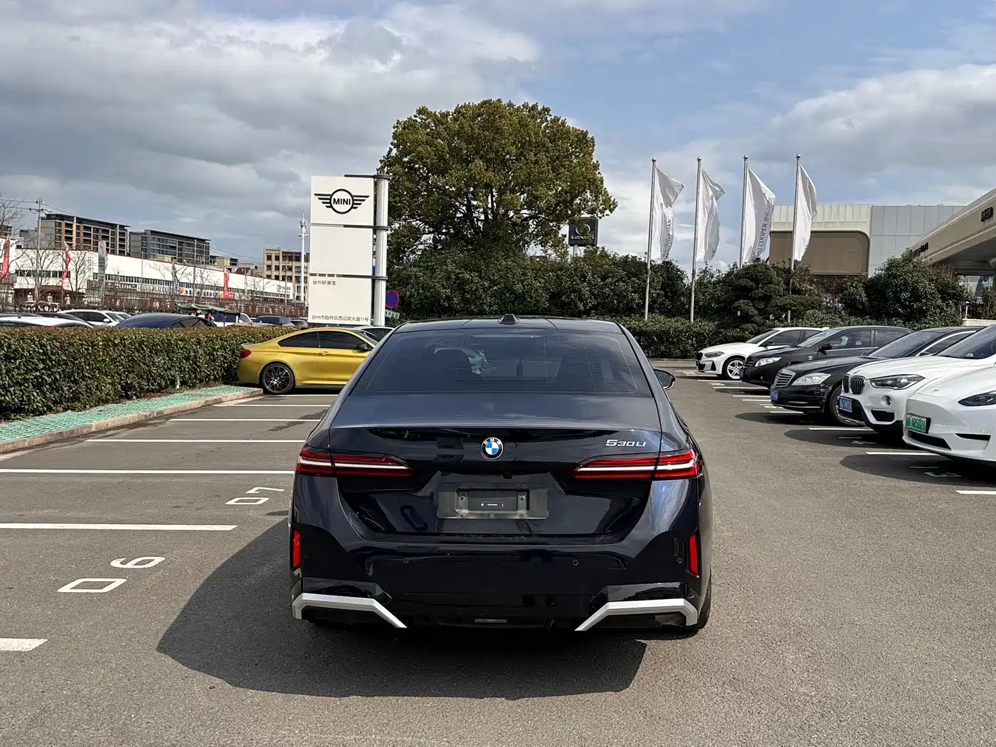 BMW 5 Series 2024 530Li Premium M Sport Package фото 12