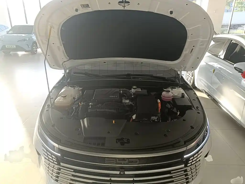 BYD Destroyer 05 2024 2024 Glory Edition DM-i 55KM Luxury