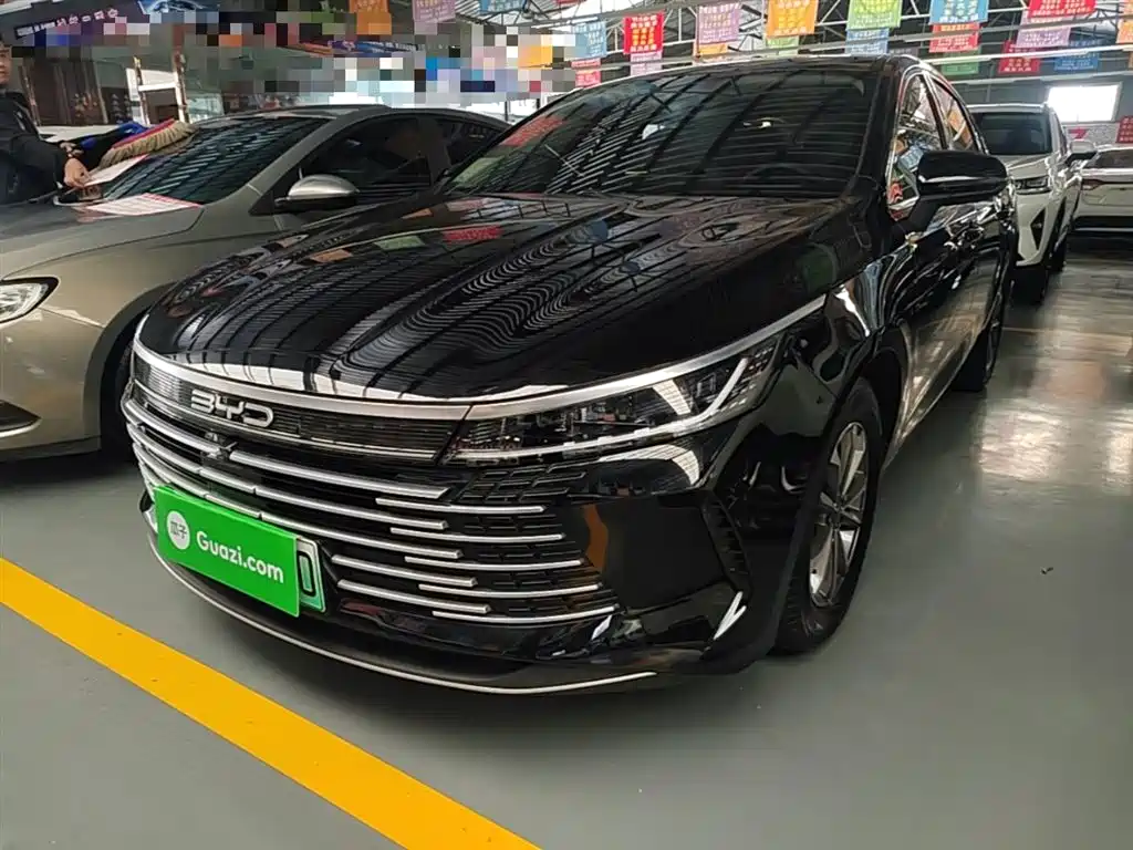 BYD Destroyer 05 2024 Glory Edition DM-i 55KM Luxury фото 2