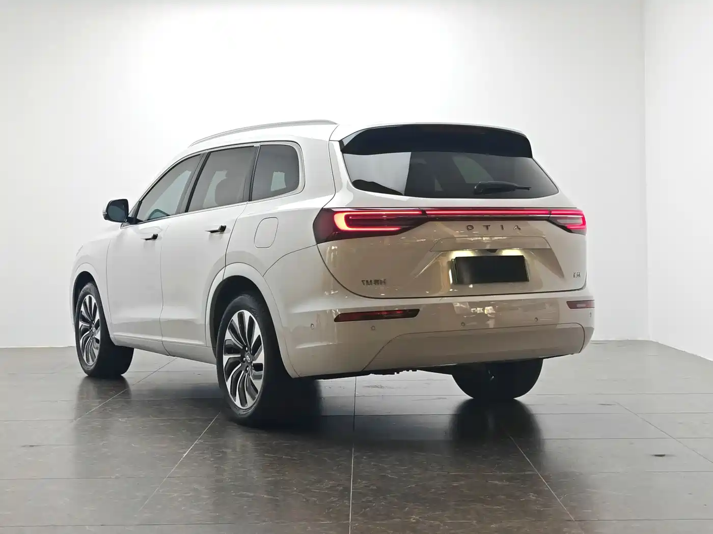 AITO Wenjie AITO M7 2022 1.5T AWD Luxury Edition фото 4