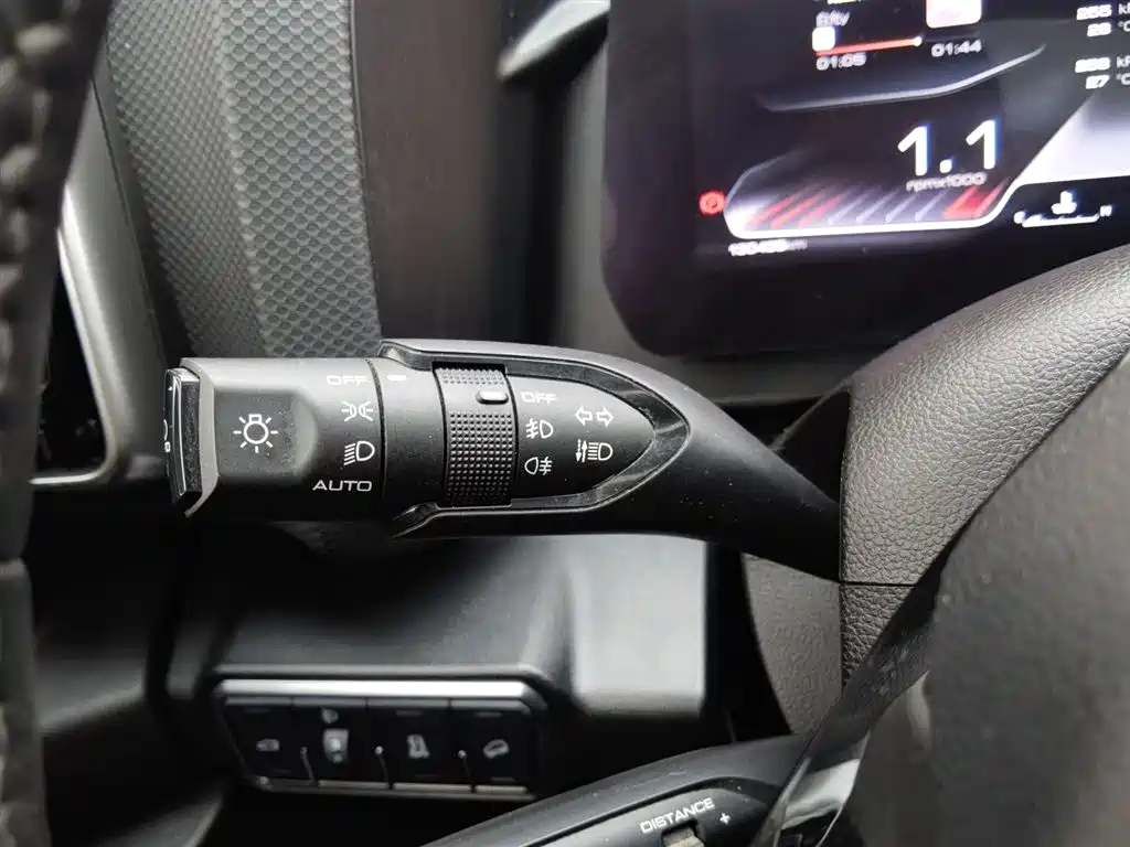 Haval Big Dog 2022 2.0T DCT 4WD Chinese Rural Dog Hunting Edition фото 21