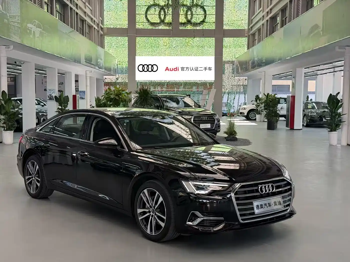 Audi A6L 2023 40 TFSI Luxury Dynamic