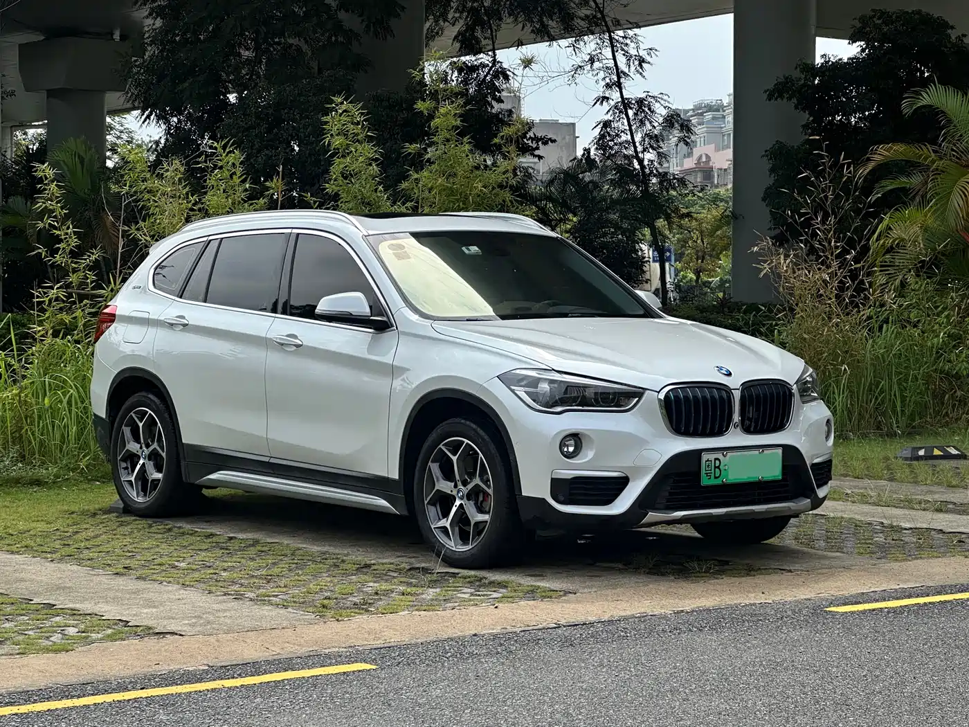 BMW X1 New Energy 2018 xDrive25Le Luxury Model фото 2