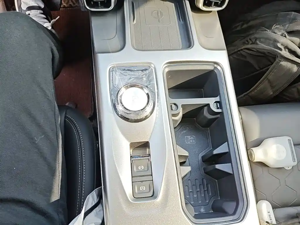 Haval Big Dog 2024 1.5T DCT Border Collie Edition фото 14