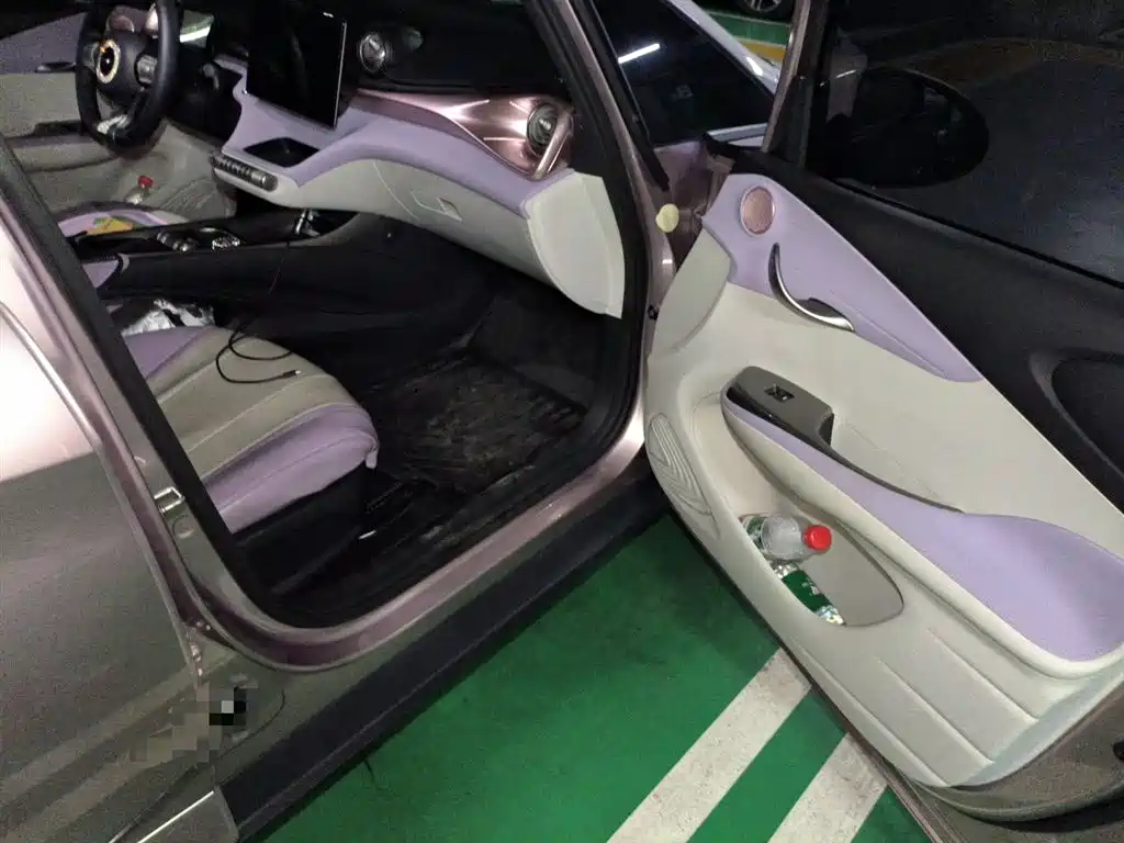 BYD Dolphin 2021 Model 405km Fashion Edition фото 19