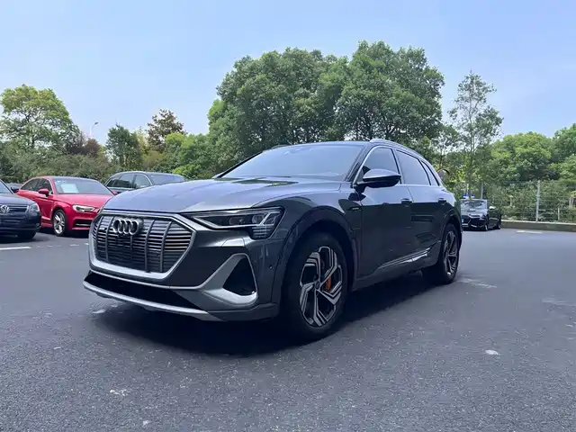 AUDI E TRON