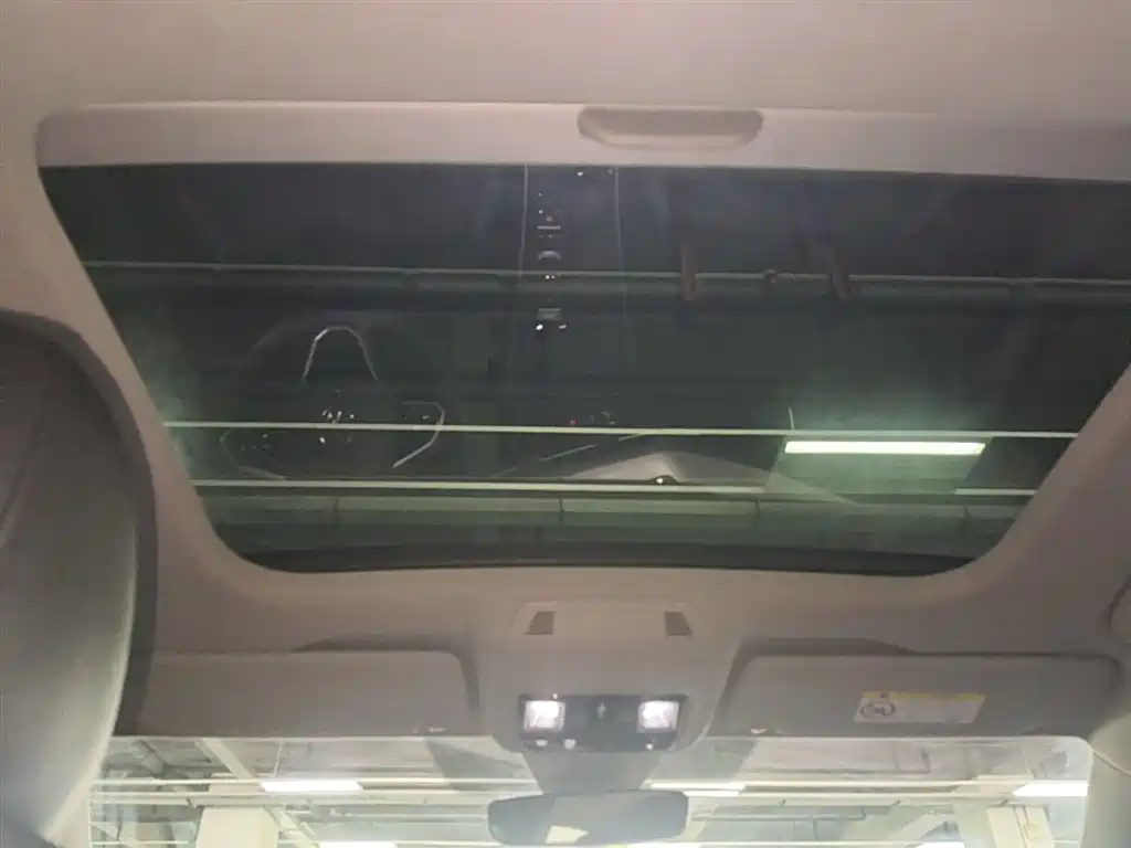 VOLKSWAGEN LINGDU