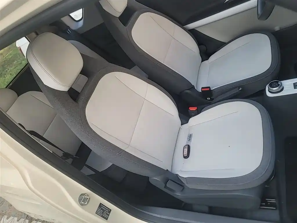 Geely Galaxy Panda 2025 Panda mini 210km Vitality Bear фото 25