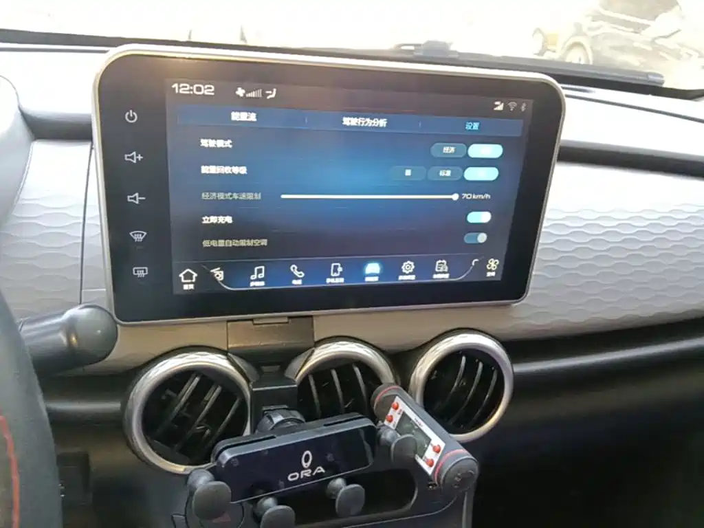 Ora Black Cat 2022 2022 Facelift 301km Pet Edition LFP Version