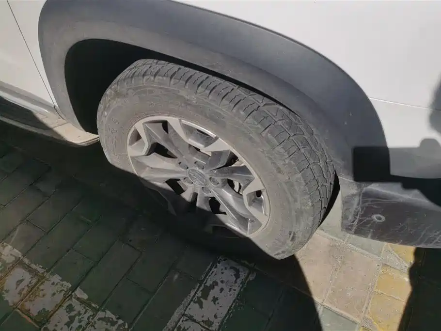 Haval Big Dog 2021 2.0T DCT AWD Howling Celestial Dog Edition фото 6