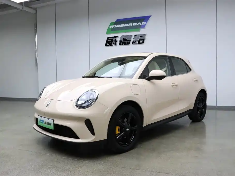 Ora Good Cat 2025 Model 430km Luxury