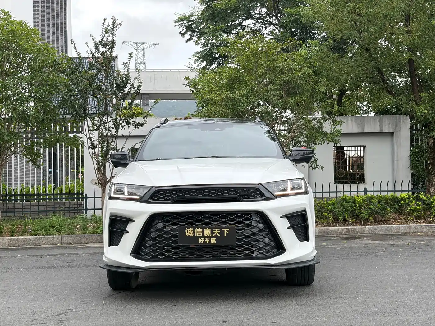 SWM Motor SWM G01 2020 2019 F Edition 1.5T Auto Diamond Powder China VI