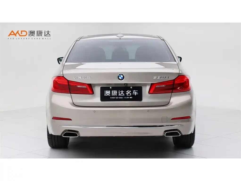 BMW 5 Series 2019 Facelift 530Li Leading Luxury Package фото 4