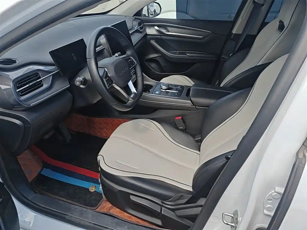 BYD Destroyer 05 2024 Glory Edition DM-i 55KM Luxury фото 11