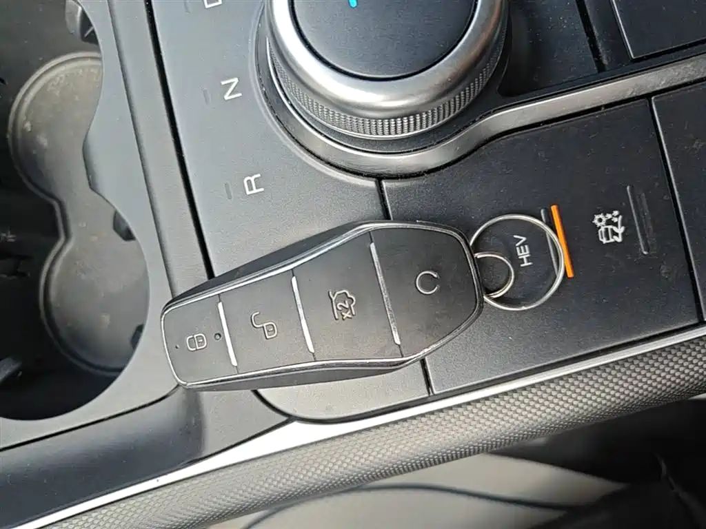 BYD Destroyer 05 2024 Glory Edition DM-i 55KM Luxury фото 17