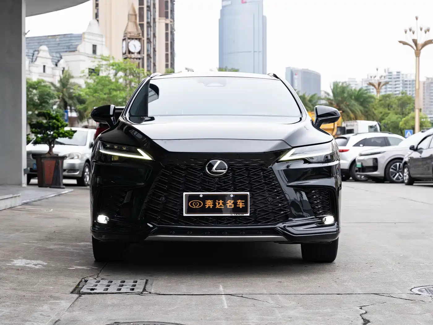 LEXUS RX