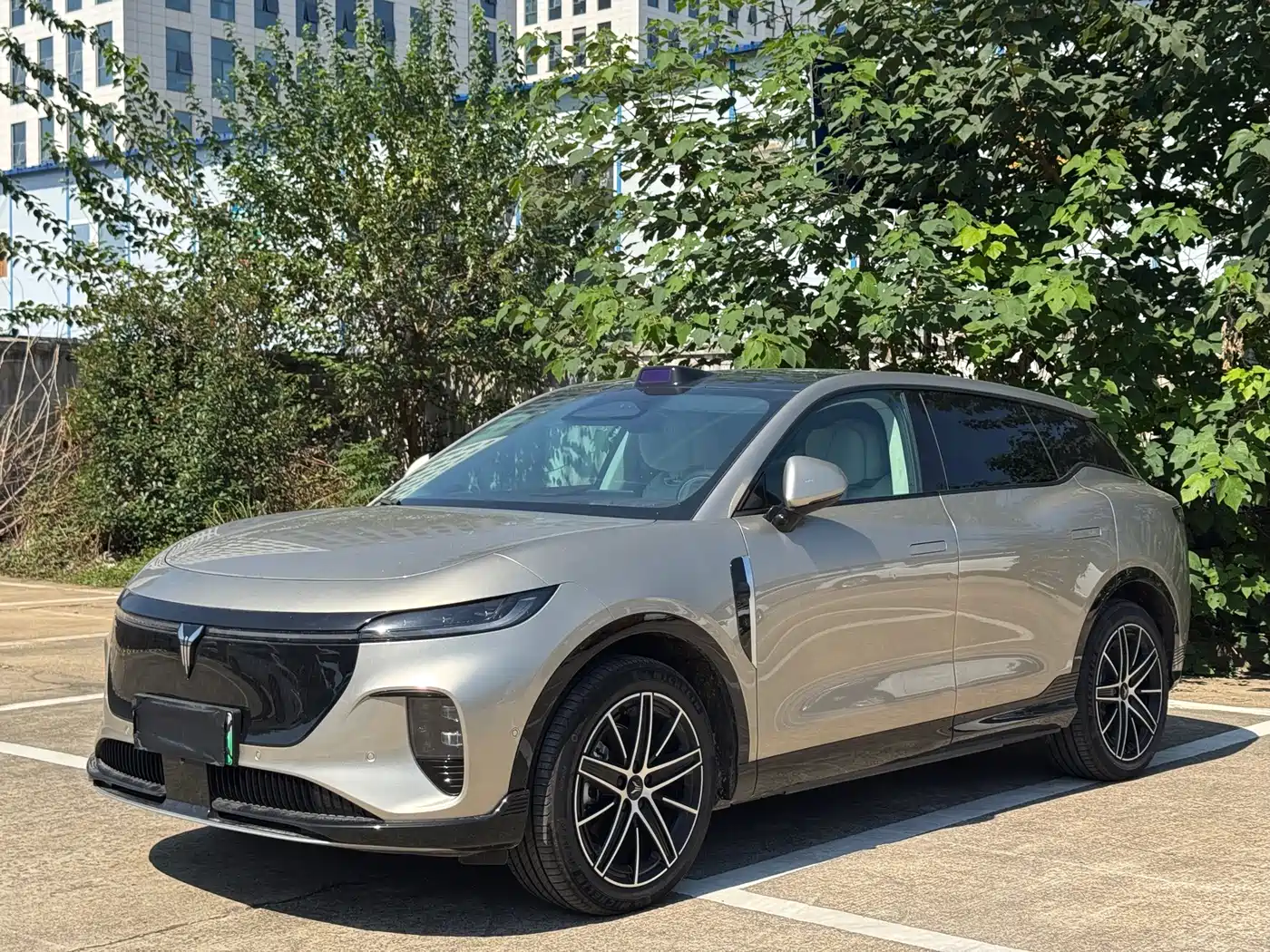 Voyah Auto Voyah Zhiyin 2025 Base