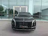 صورة 3 - Hongqi HS7 PHEV
