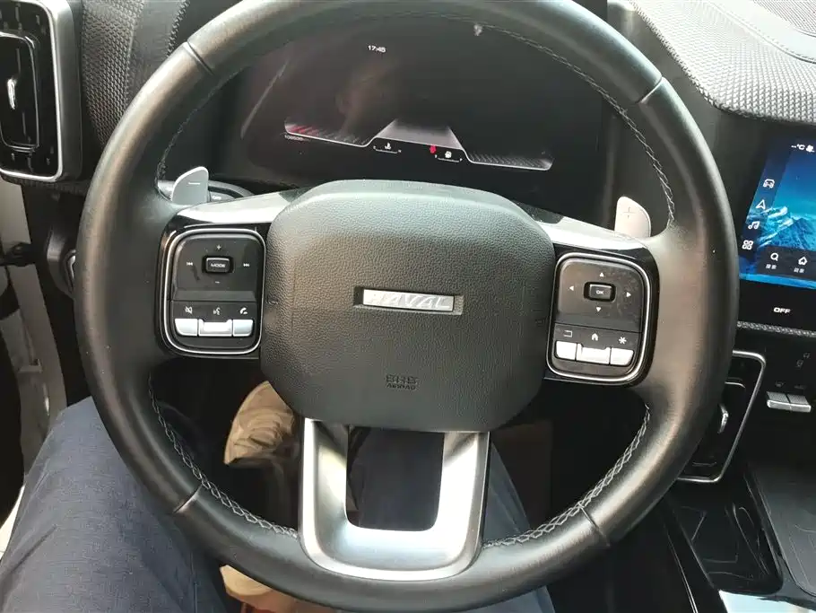 Haval Big Dog 2021 1.5T DCT 2WD Border Collie Edition фото 15