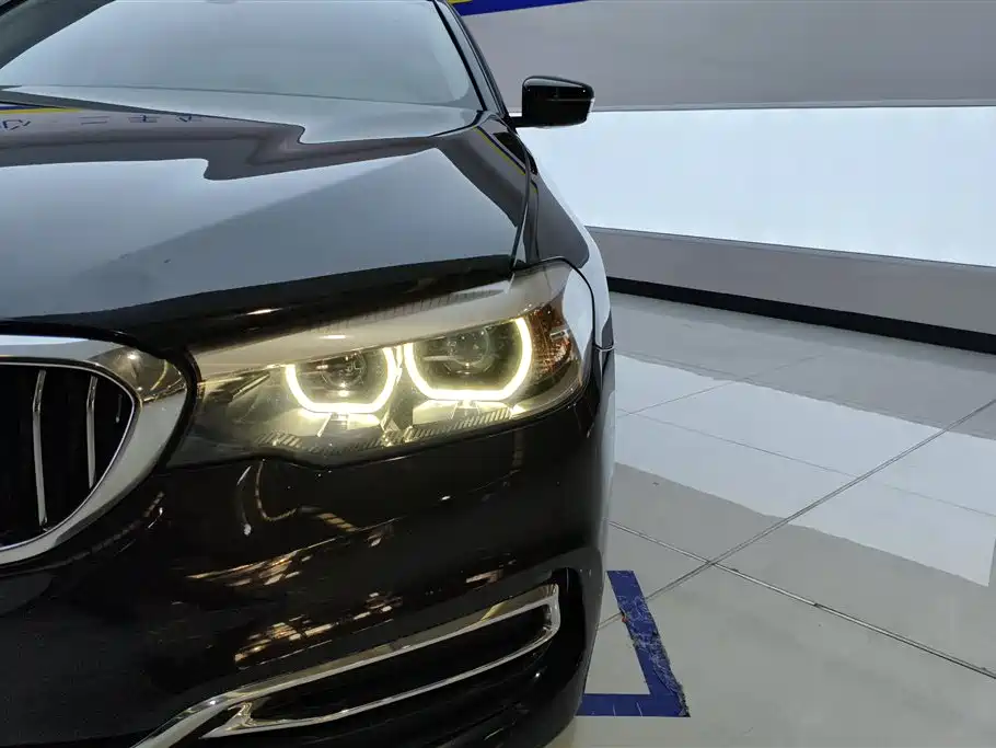 BMW 5 Series 2020 525Li Luxury Package фото 5