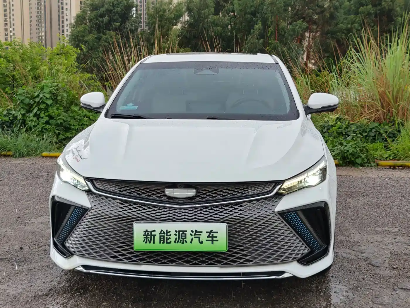 Geely Emgrand L HiP 2023 2022 1.5TD-DHT Pro 100KM Super Rui