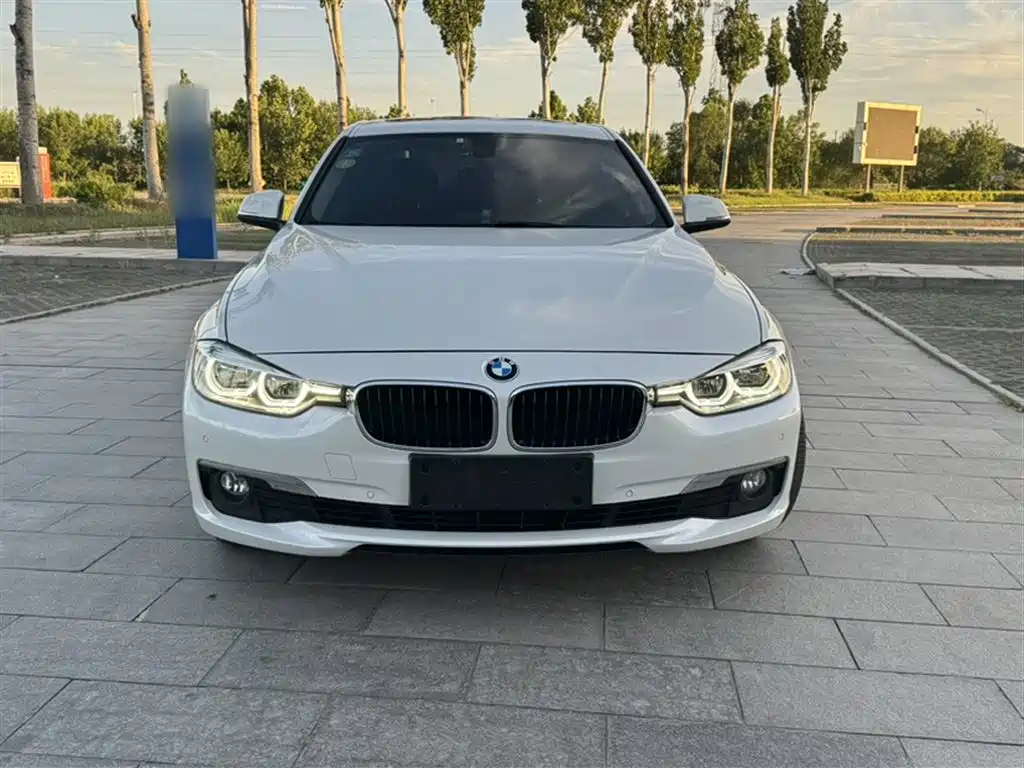 BMW 3 Series 2017 320Li Fashion фото 6