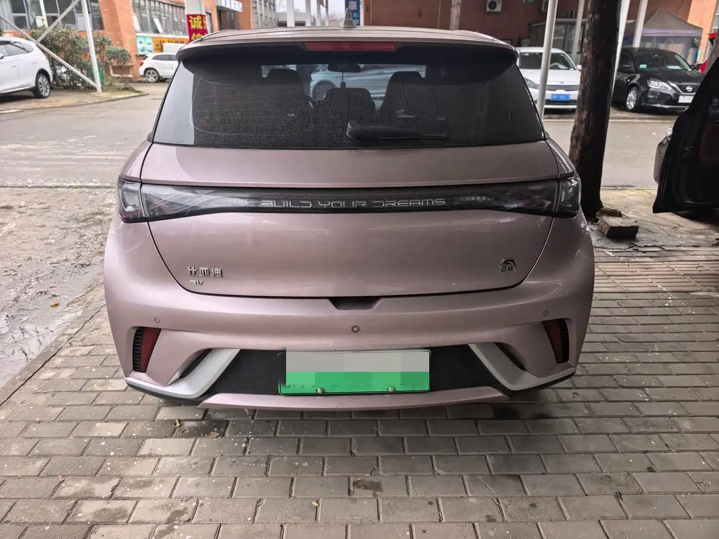 BYD Dolphin 2023 420km Fashion Edition фото 12