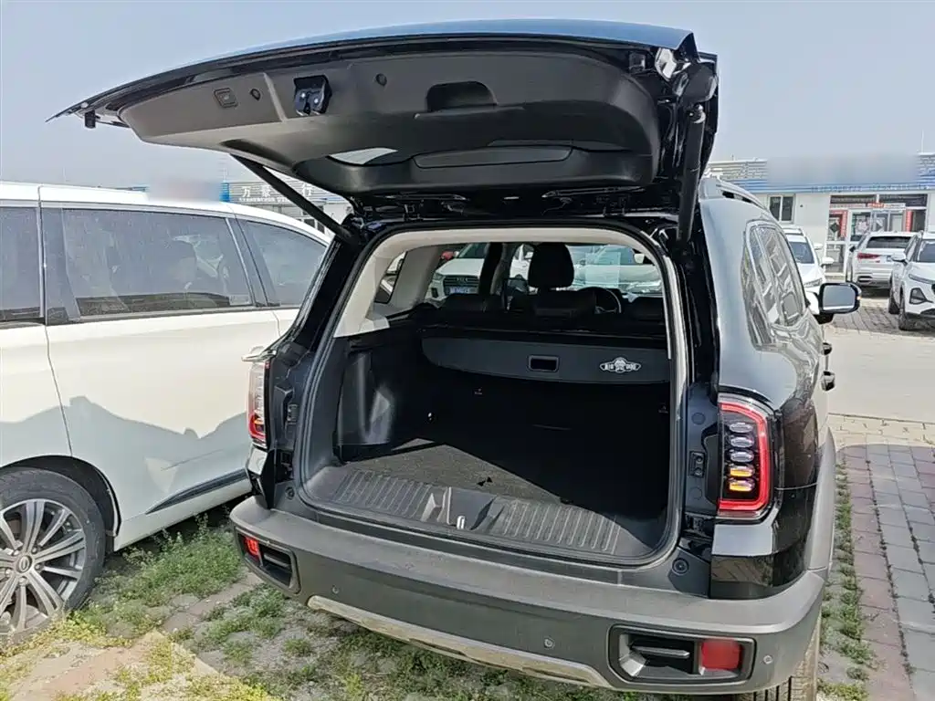 Haval Big Dog 2024 1.5T DCT Border Collie Edition фото 19