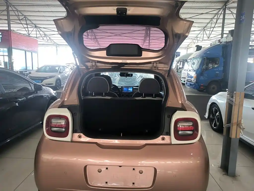 Ora Black Cat 2021 2021 351km Luxury Model