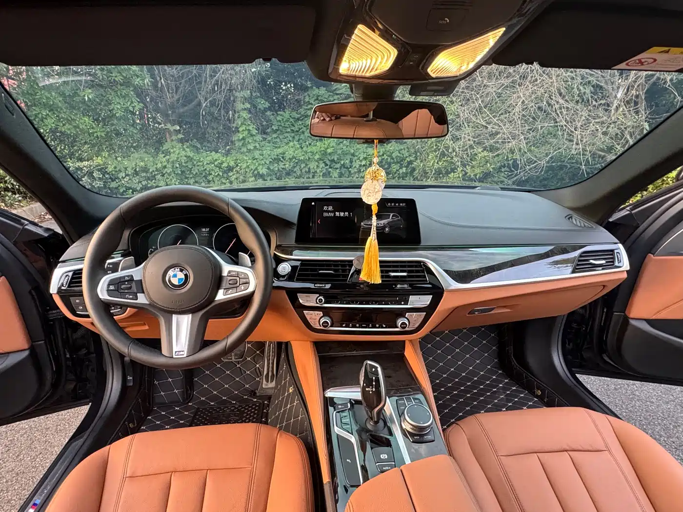 BMW 5 Series 2019 530Li Premium M Sport Package фото 13