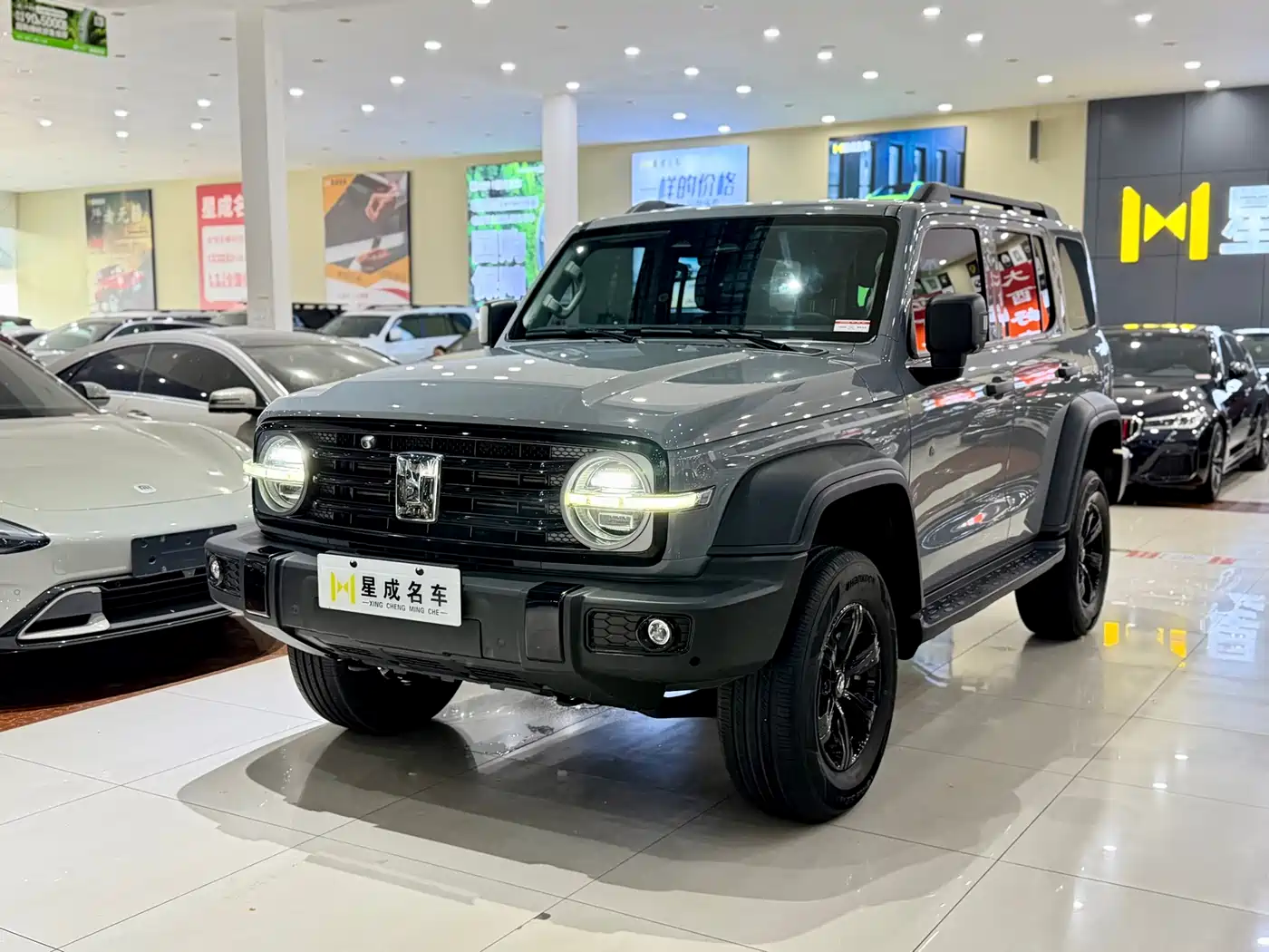 Tank 300 2023 Off-Road Edition 2.0T Conqueror фото 2