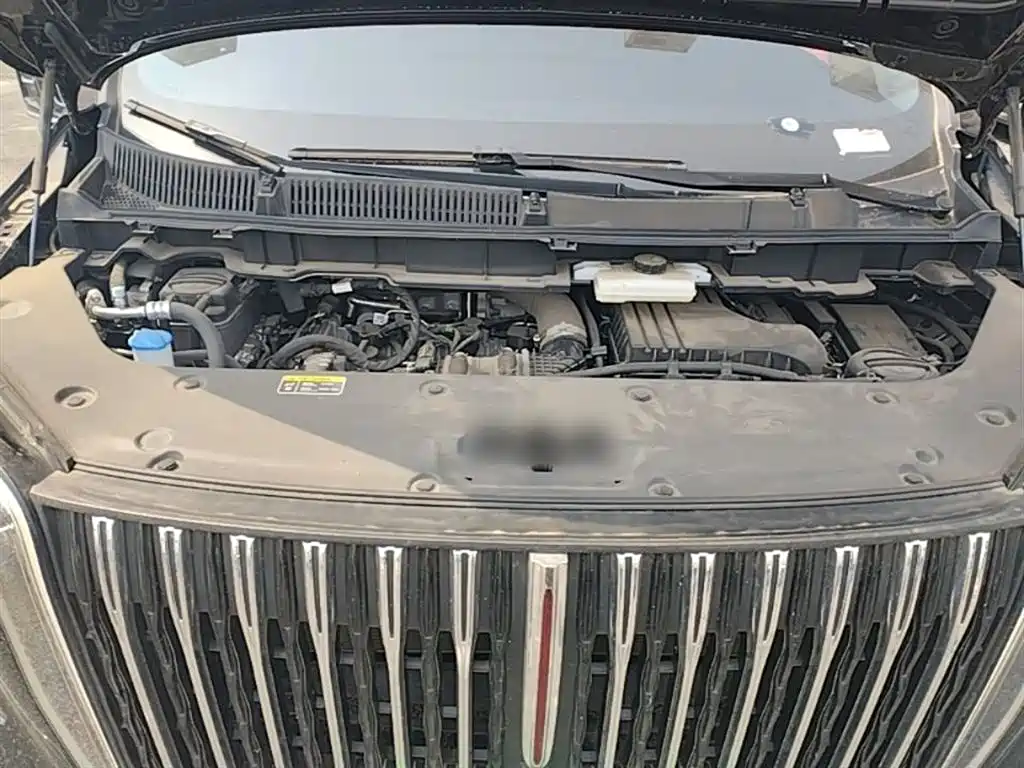 Hongqi HQ9 PHEV 2024 Model 2.0T AWD Business Edition фото 20