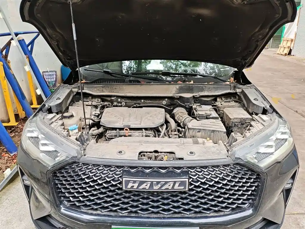 Haval H6 2021 3rd Generation 2.0T Auto 2WD Max фото 11