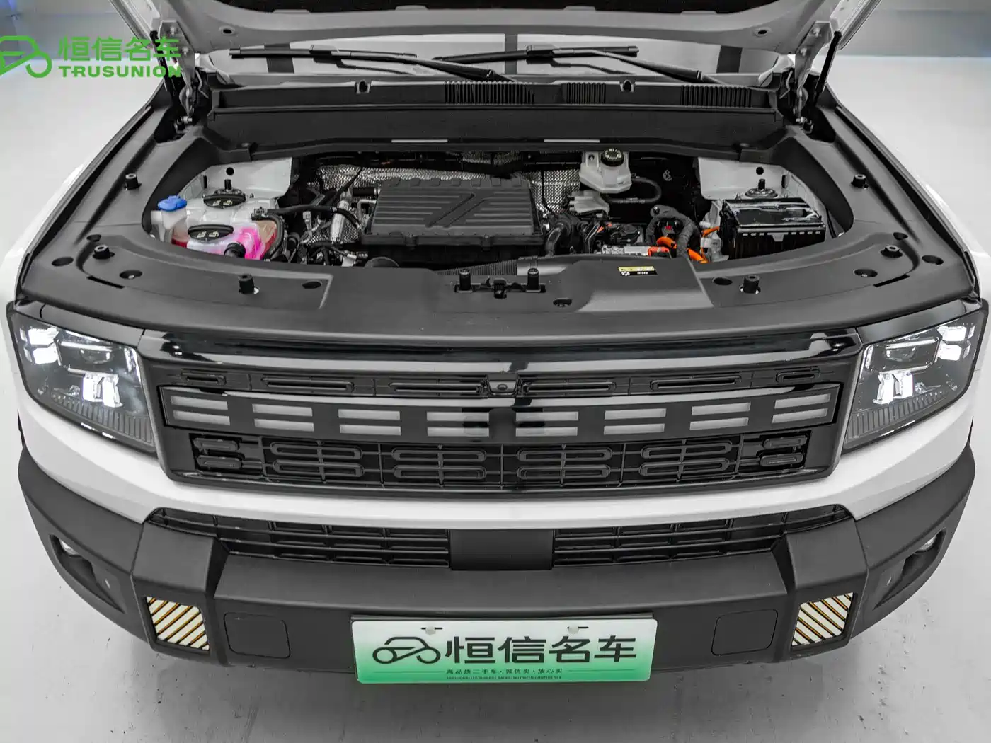 Jetour Shanhai T1 2025 2025 150km Ocean Edition