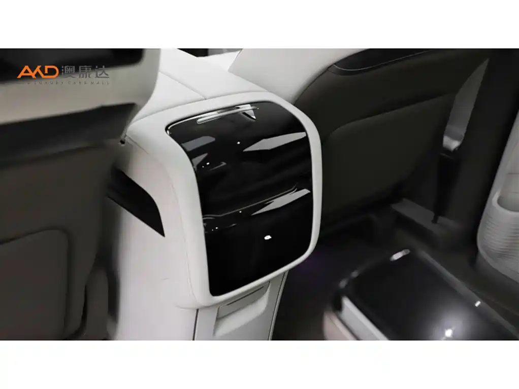Denza D9 2022 DM-i 970 All-Wheel Drive Honor Edition фото 10