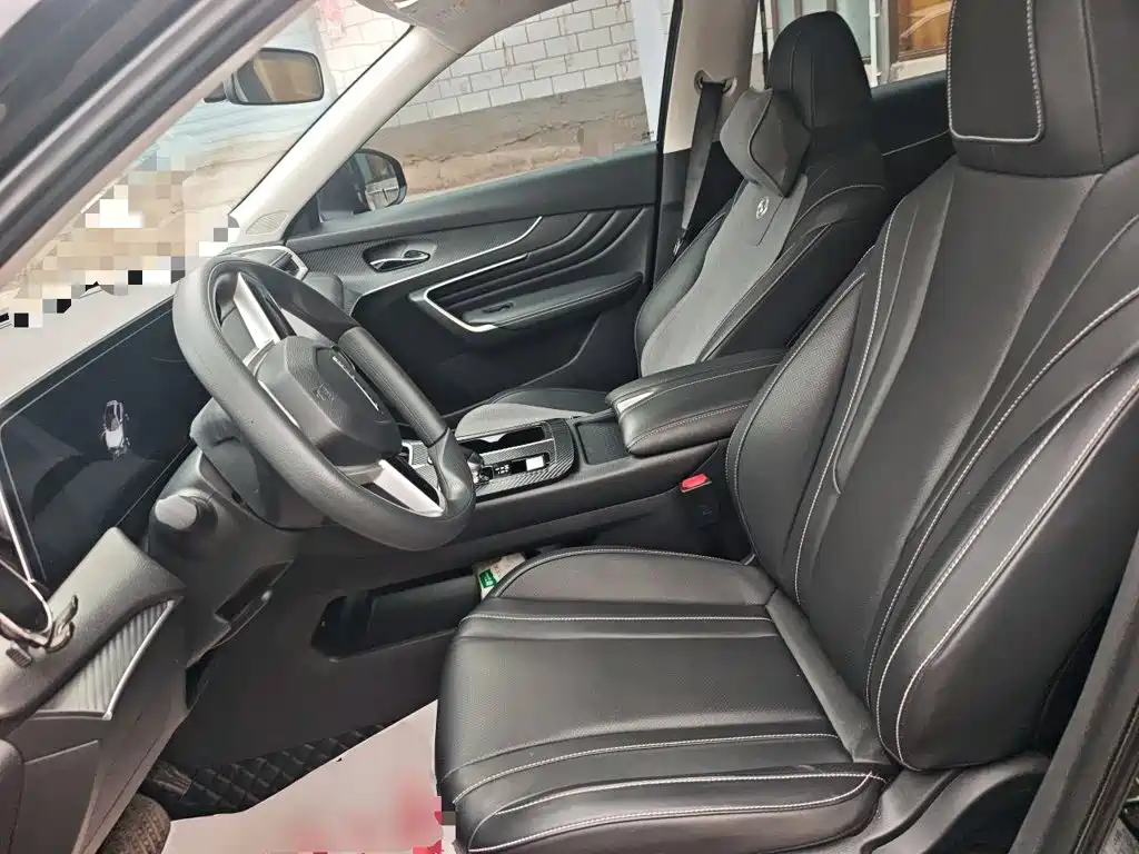 Venucia Big V 2024 2024 260T New Star Joy Auto Pro