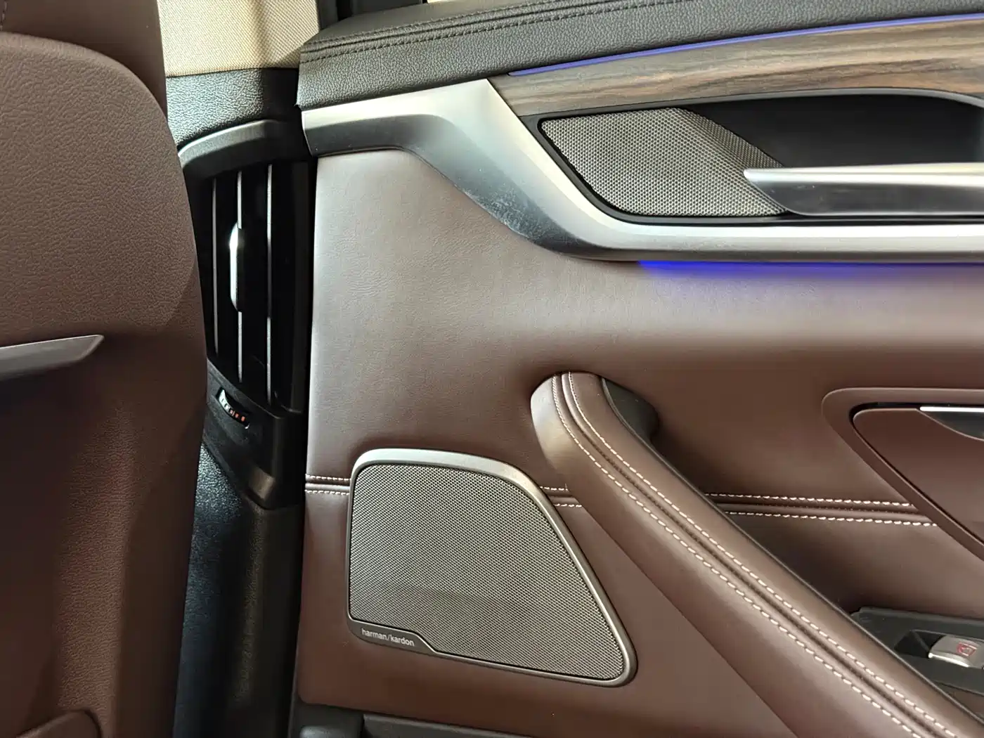 BMW 5 Series 2019 530Li Premium Luxury Package фото 13