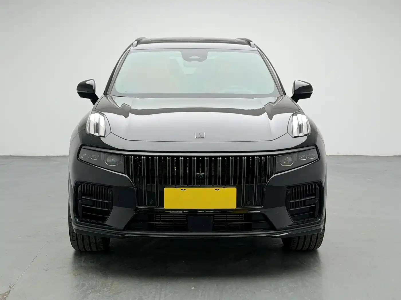 Lynk & Co 09 EM-P 2021 2.0T PHEV Ultra 6-seater фото 2