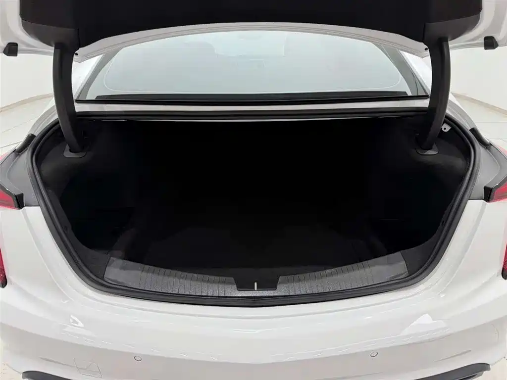 Cadillac CT5 2021 28T Premium Edition фото 14