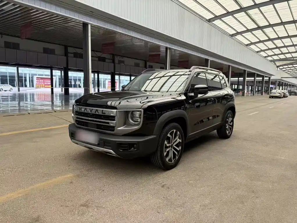 Фото 2 - Haval Dargo