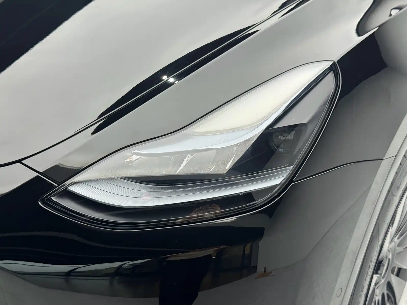 Фото 4 - Tesla Model Y