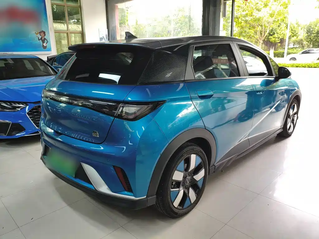 BYD Dolphin 2022 2021 401km Knight Edition