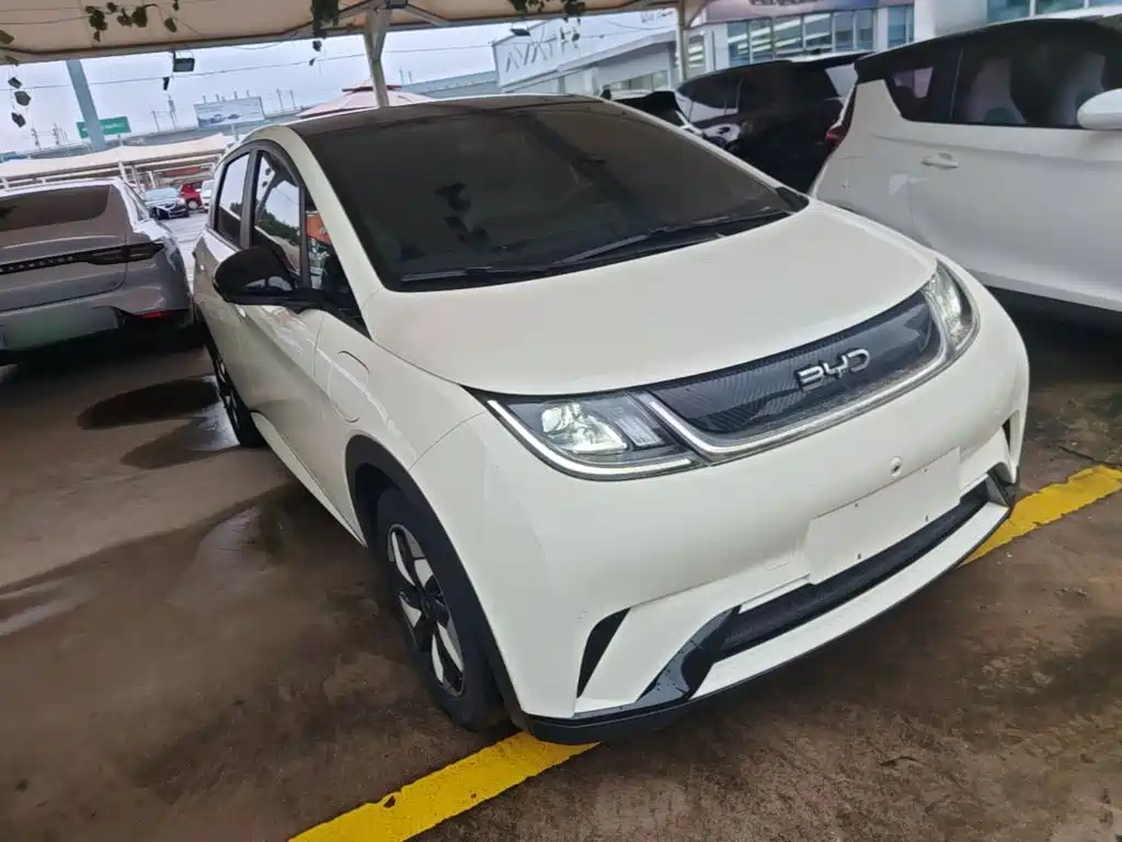 Фото 4 - BYD Dolphin
