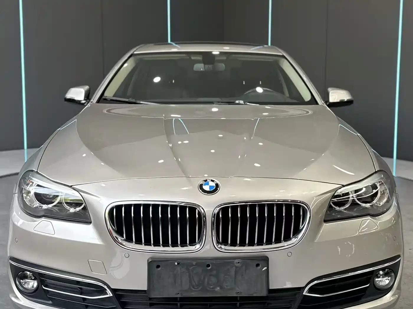 BMW 5 Series 2017 525Li Luxury Design Package фото 2