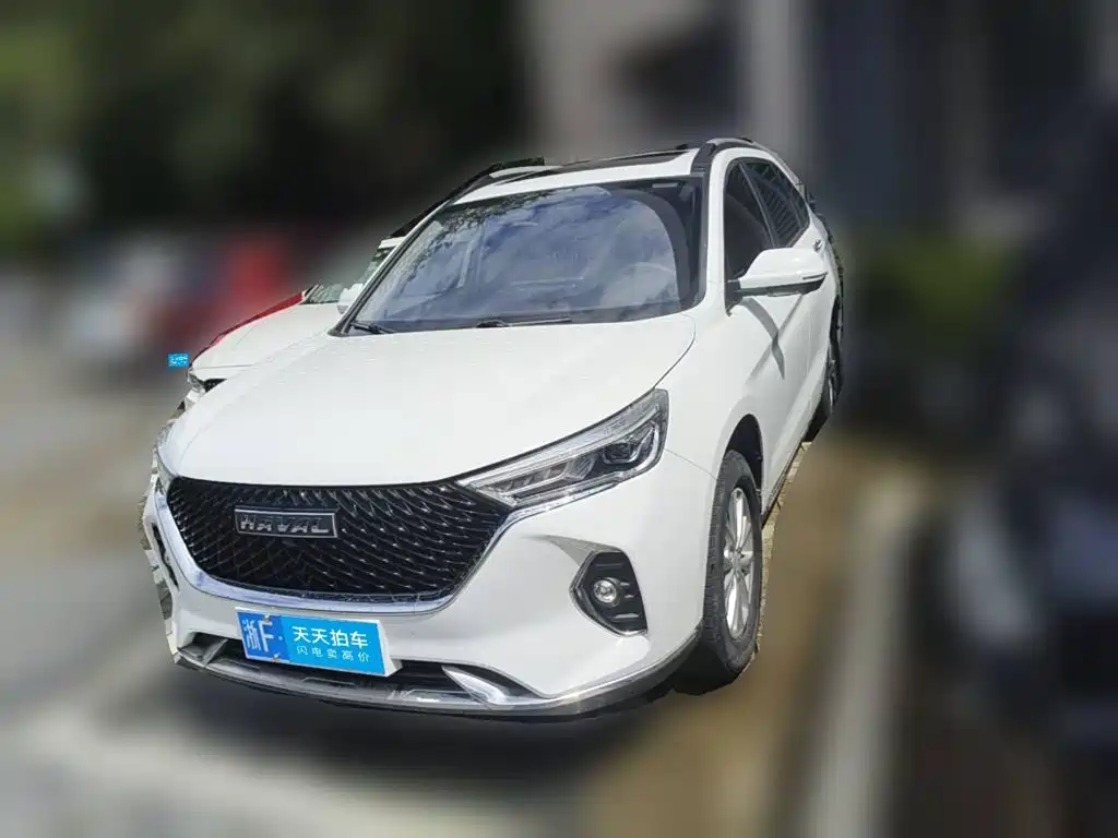 Фото 1 - Haval M6