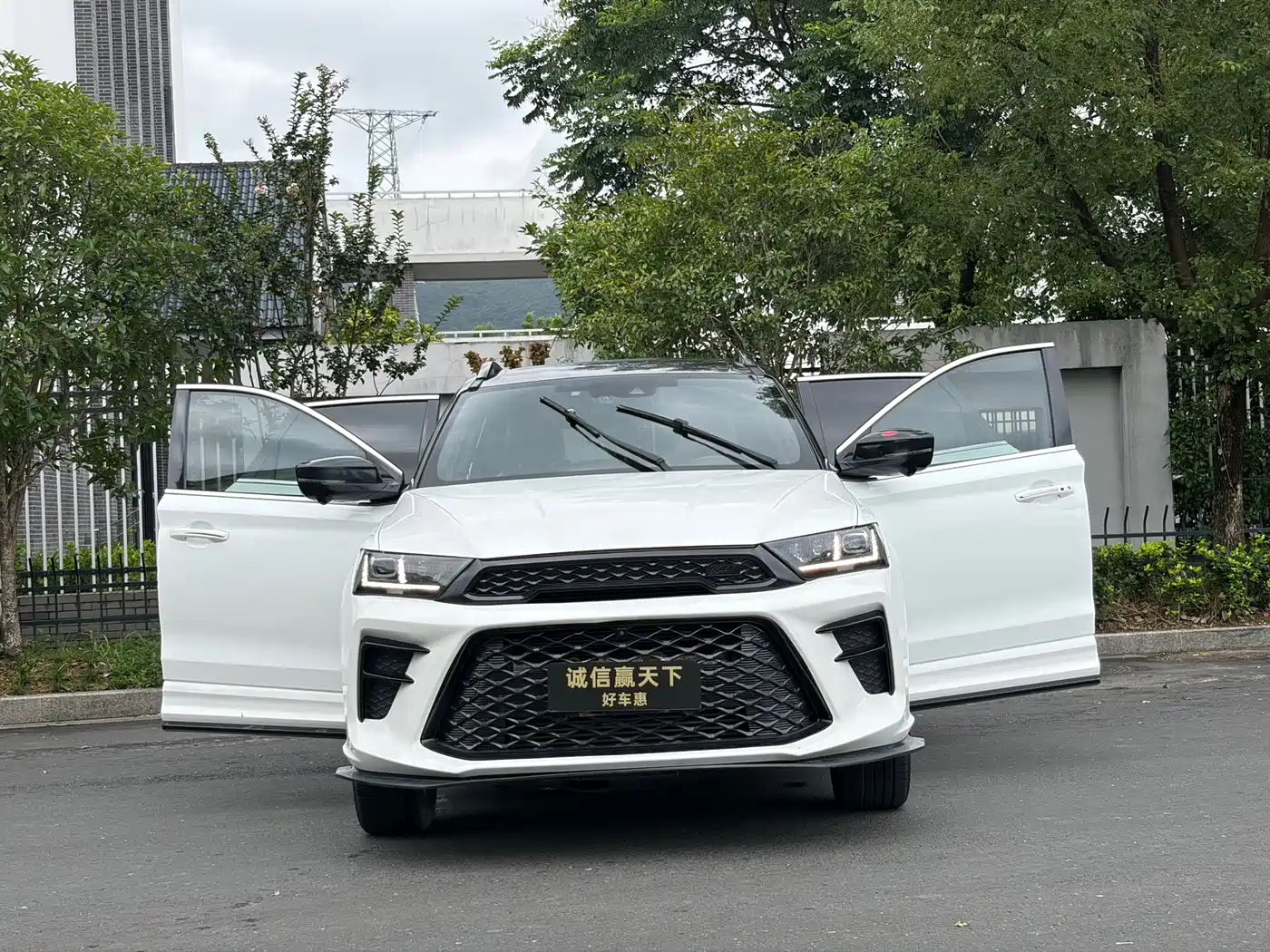 SWM Motor SWM G01 2020 2019 F Edition 1.5T Auto Diamond Powder China VI
