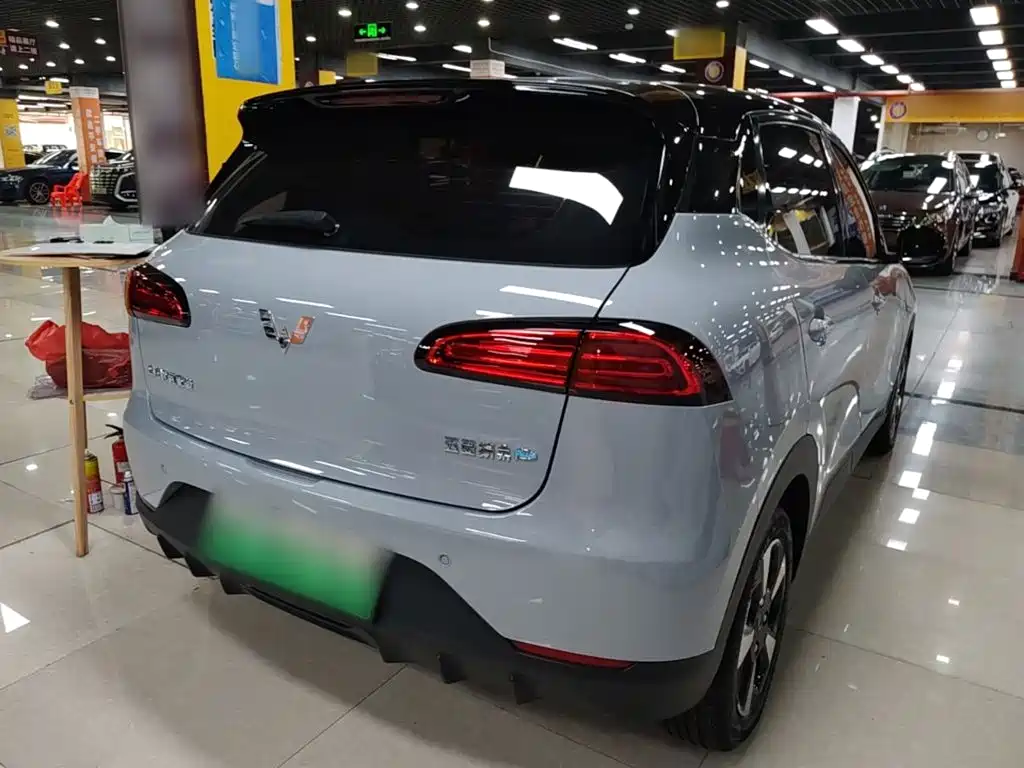 Wuling Motors Wuling Binguo PLUS 2025 2024 510km Range 5-seater