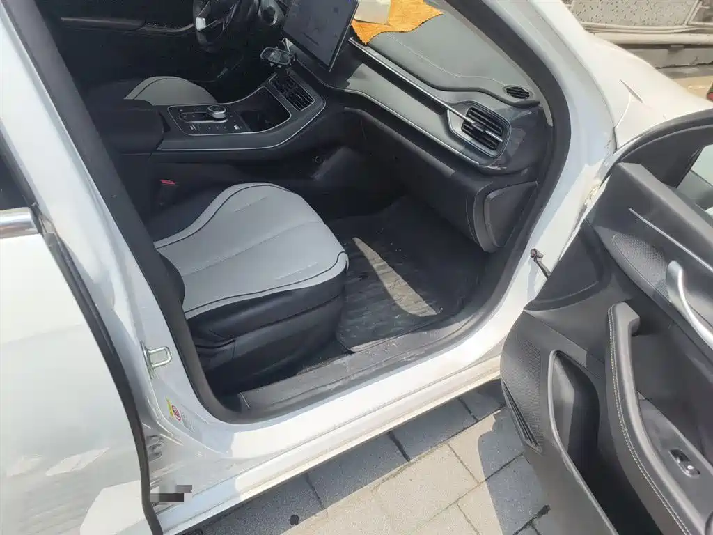 BYD Destroyer 05 2024 Glory Edition DM-i 55KM Luxury фото 20